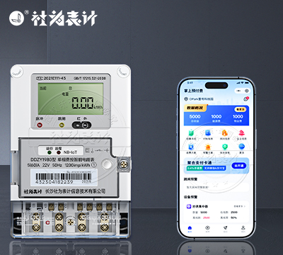 社为DDZY1980远程智能电表