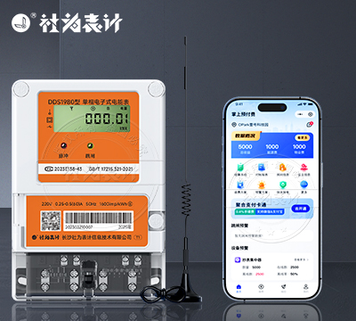 社为DDS1980单相RS485智能电表