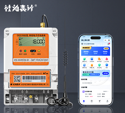 社为DDS1980单相4G智能电表